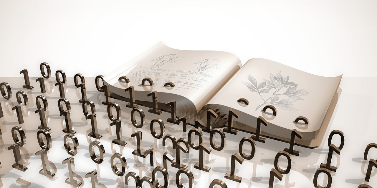 冬霧寒涼 第29頁