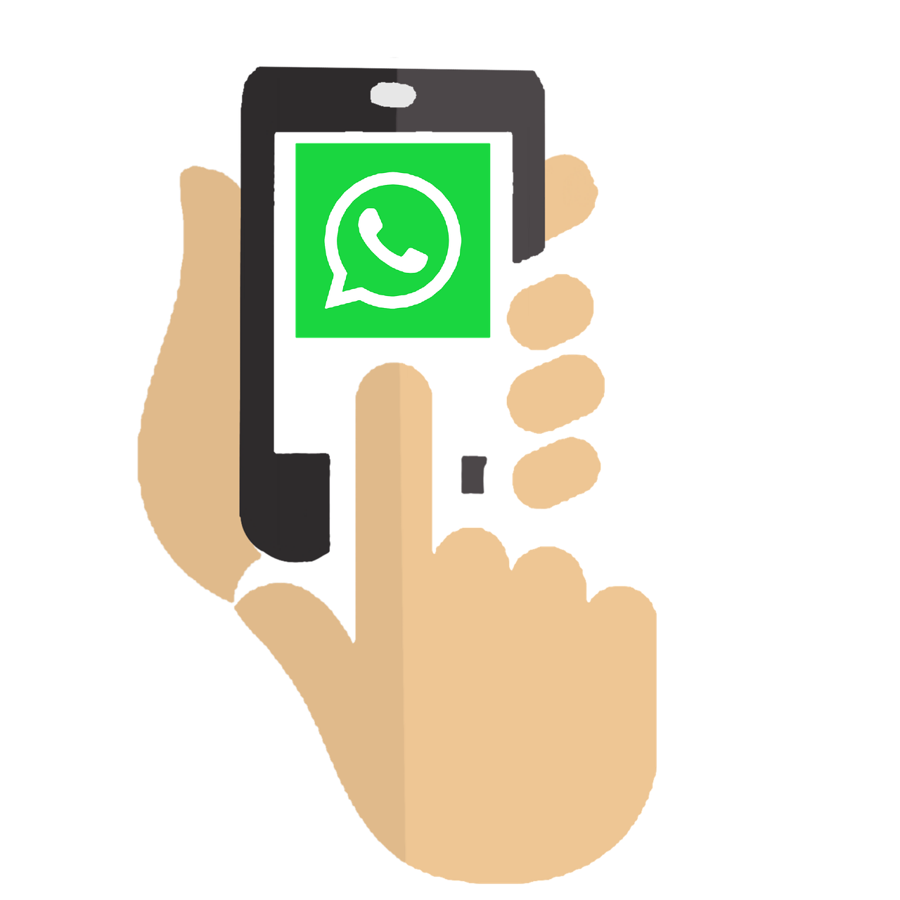 楓葉播放器官網(wǎng)更新,開啟用戶體驗(yàn)新篇章