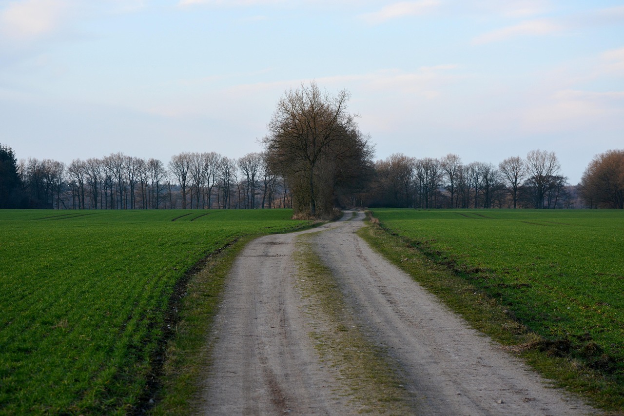 推動能源轉(zhuǎn)型,電力改革動態(tài)助力可持續(xù)發(fā)展