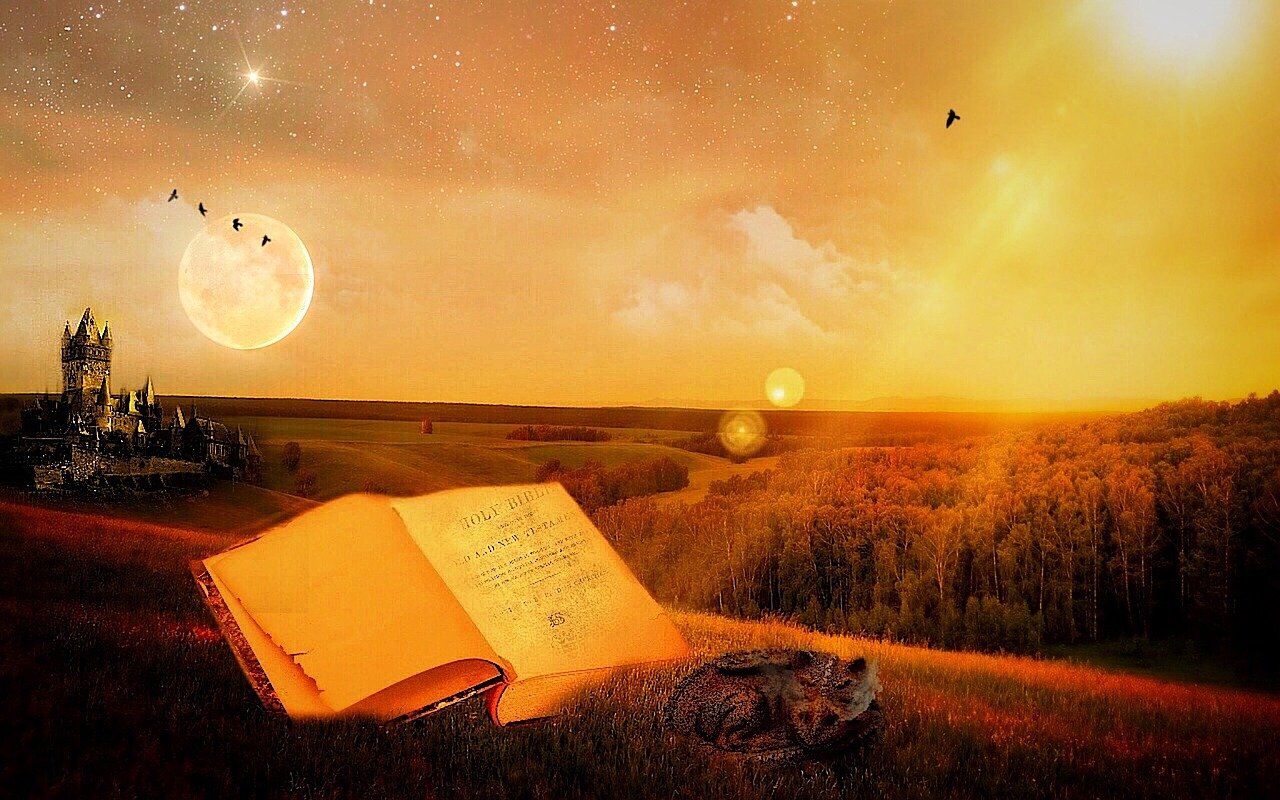 演藝之路的閃耀之星，演員夏宗佑的傳奇故事