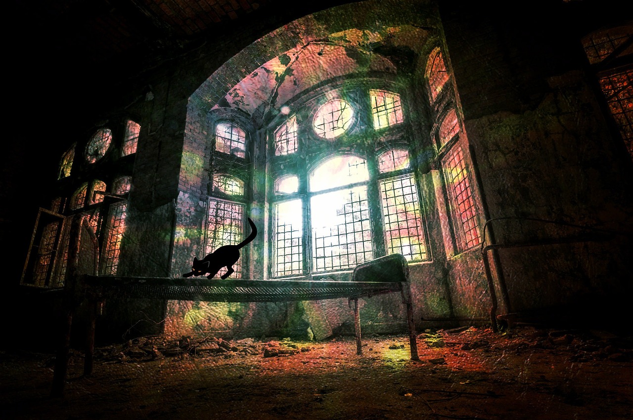 被遺棄的秘密完整演員表