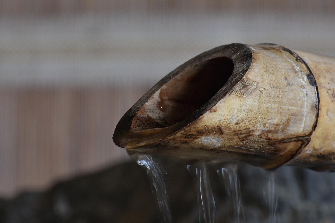 隨州最新資訊概覽,最新動態(tài)一網(wǎng)打盡