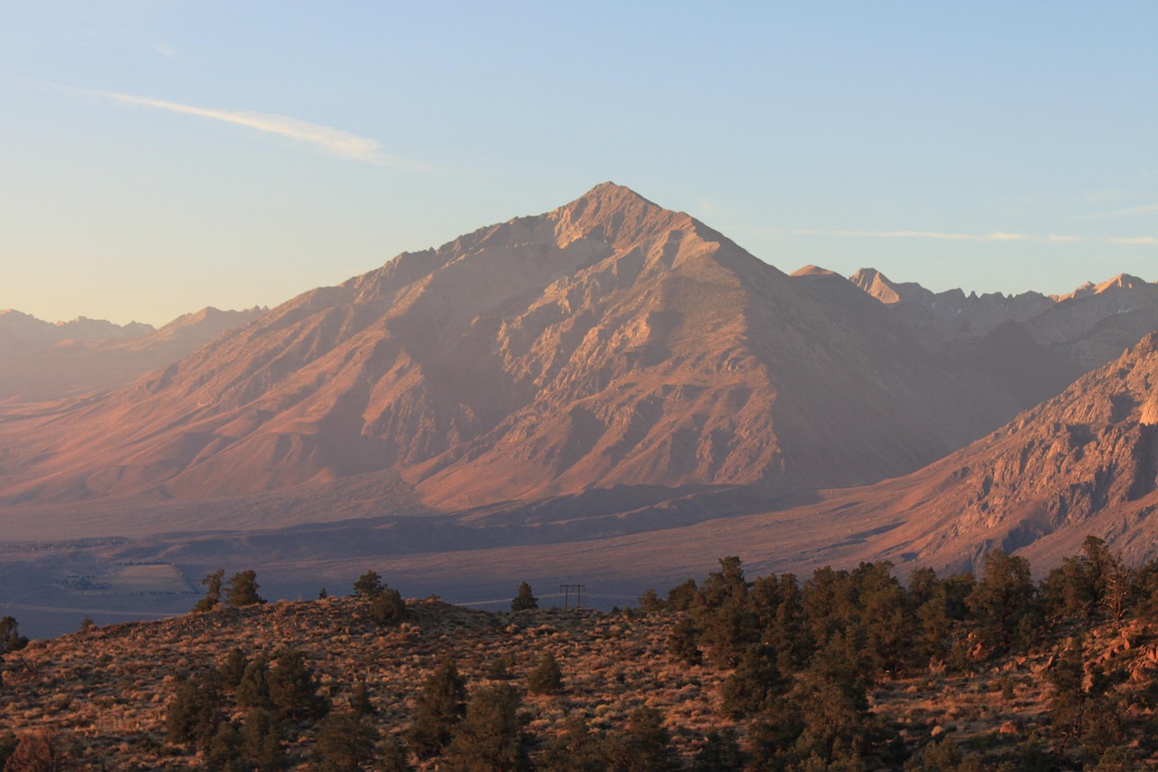 公園懿府最新價(jià)格動(dòng)態(tài)揭秘，市場(chǎng)影響力深度解析