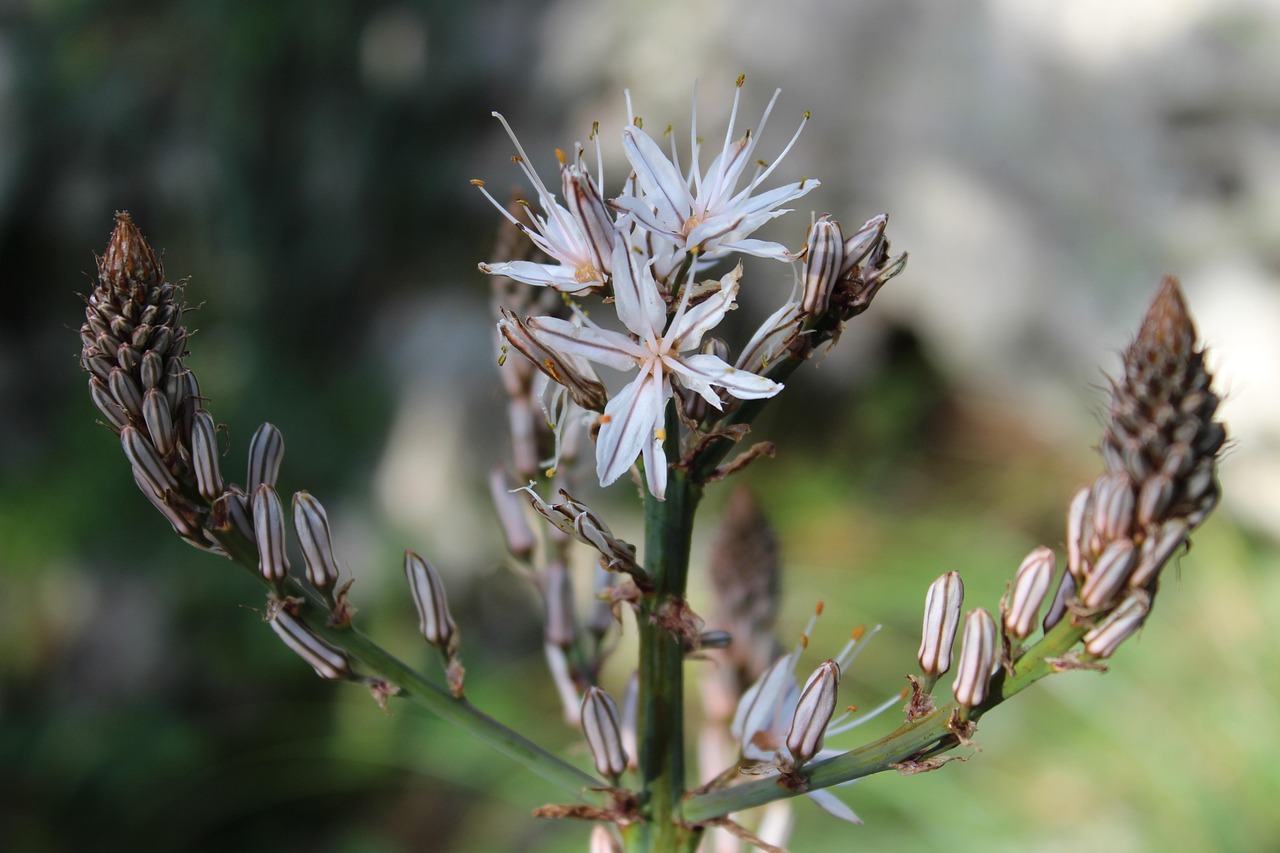 德陽吸毒動(dòng)態(tài)，挑戰(zhàn)與應(yīng)對(duì)策略