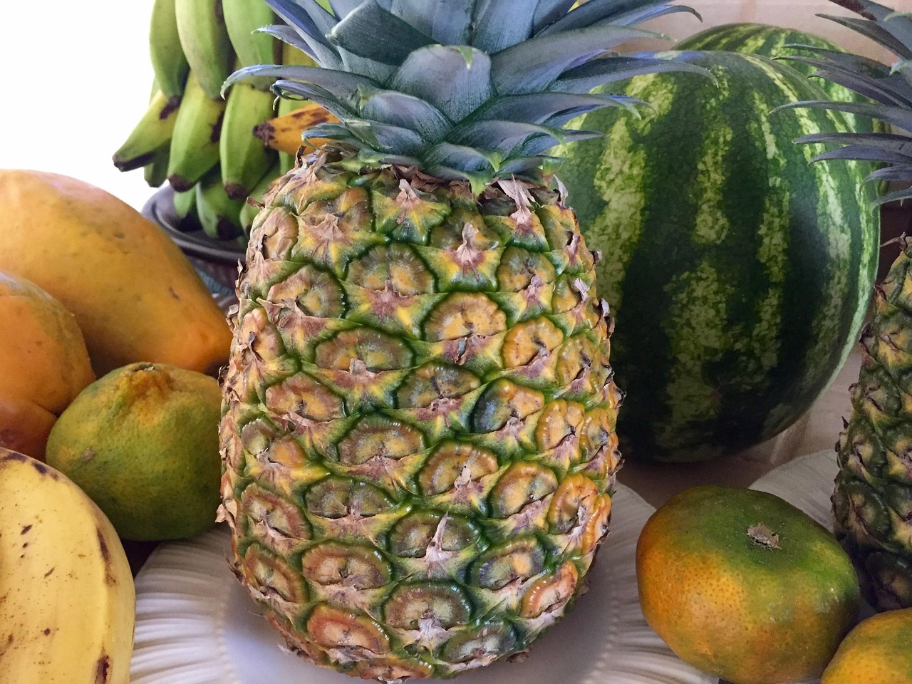 木瓜的成熟季節(jié)與上市月份解析及更多相關(guān)知識科普