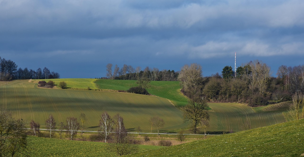 大塘面資訊，探索新時(shí)代鄉(xiāng)村發(fā)展的脈搏