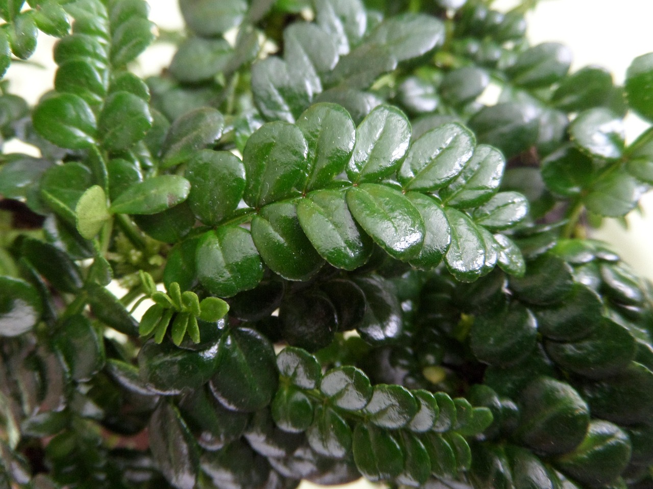 樂山新鮮資訊，探索文化、旅游與經(jīng)濟(jì)發(fā)展的最新動態(tài)