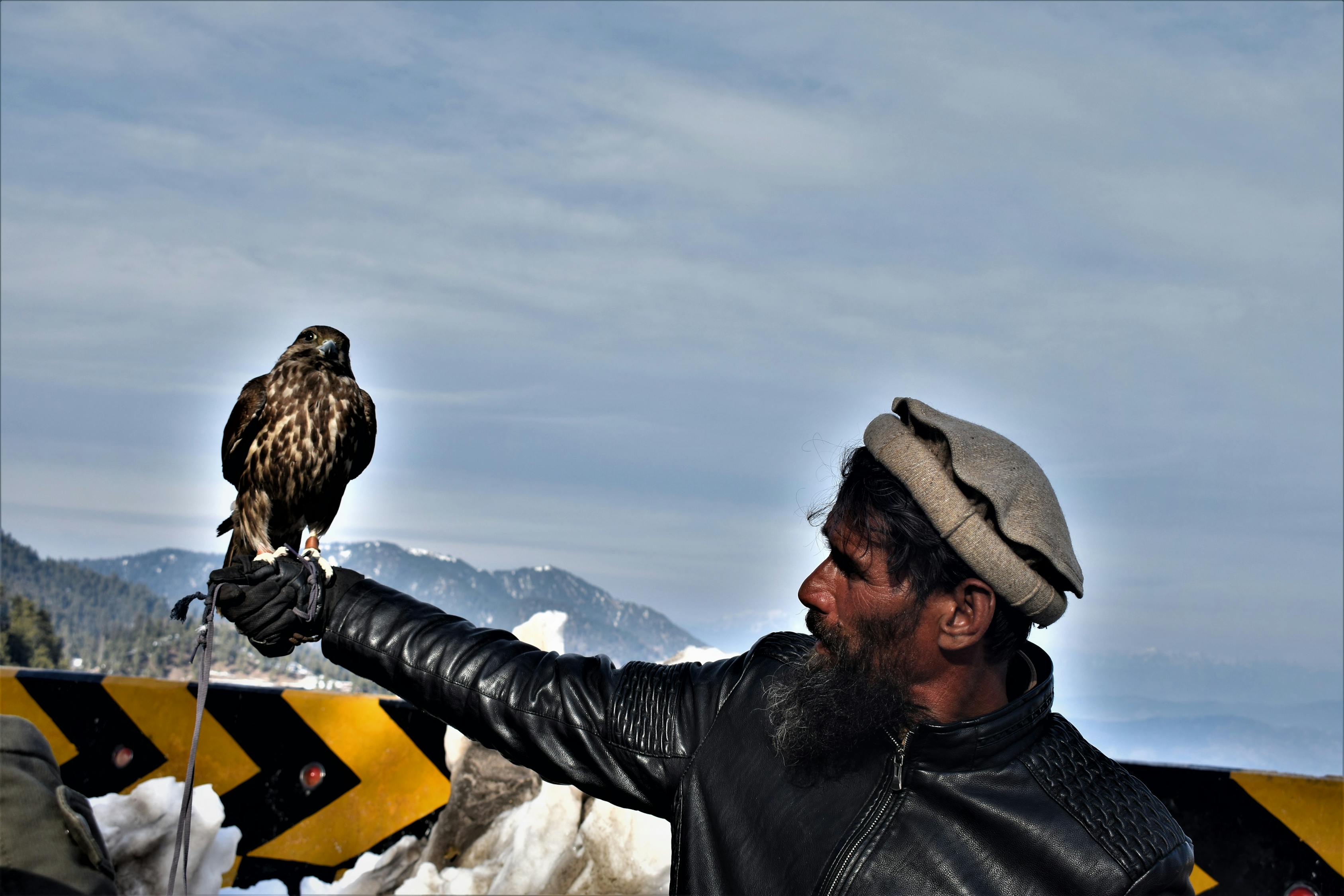 艾波羅斯最新寫真，探索未知，展現(xiàn)真實自我風(fēng)采