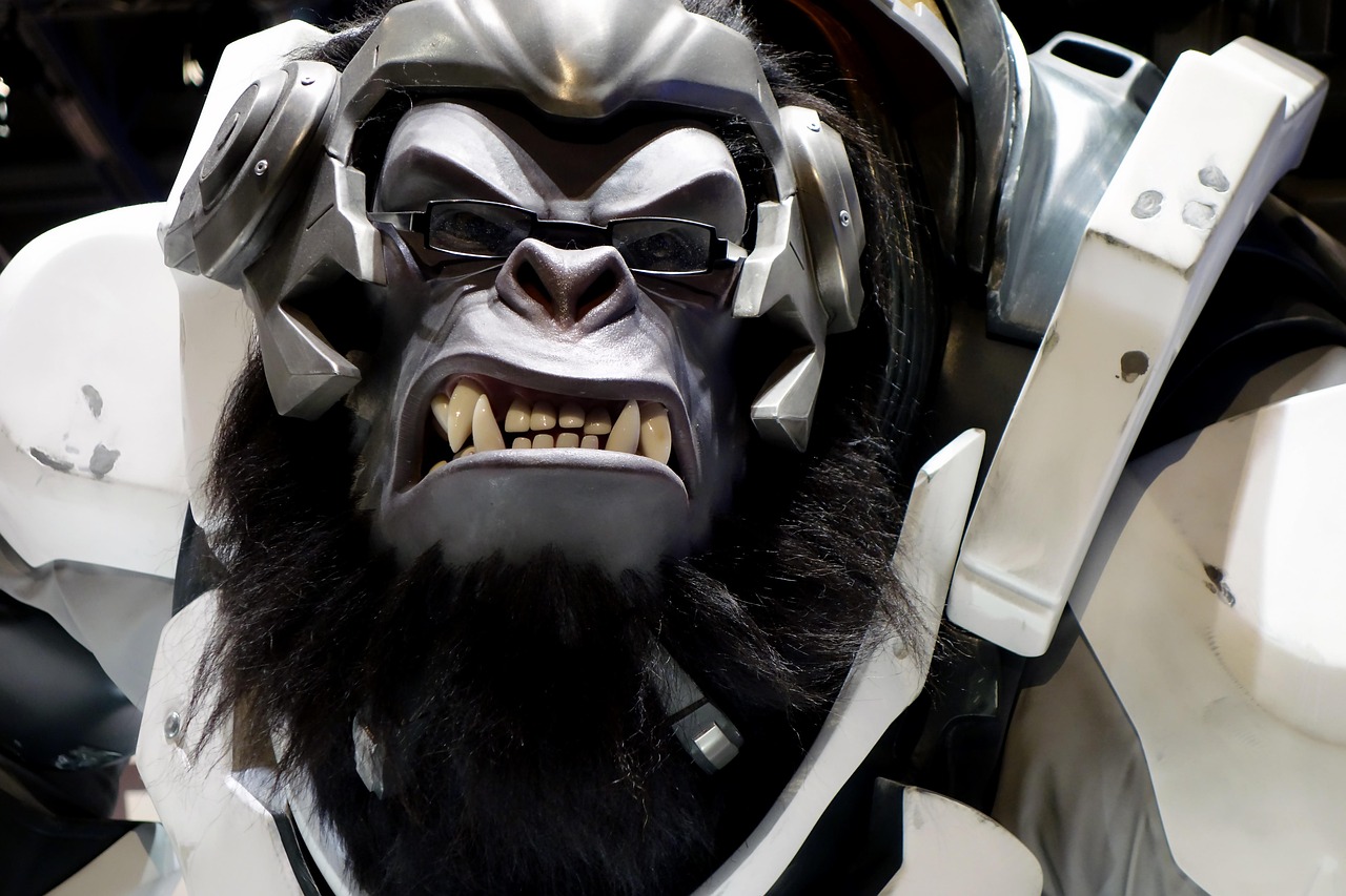 最新Gal游戲推薦，帶你踏上精彩戀愛(ài)冒險(xiǎn)之旅