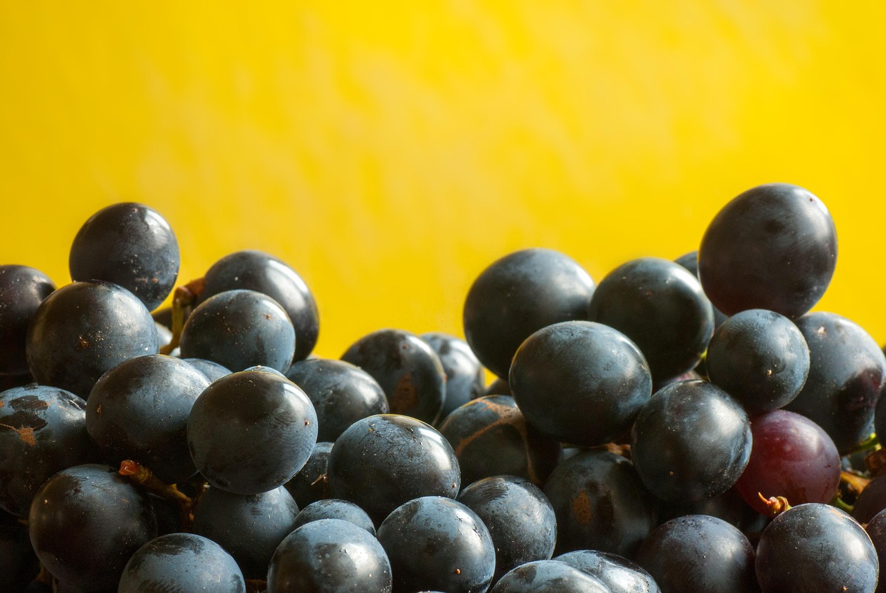 美原油最新動態(tài)及市場走勢分析與展望