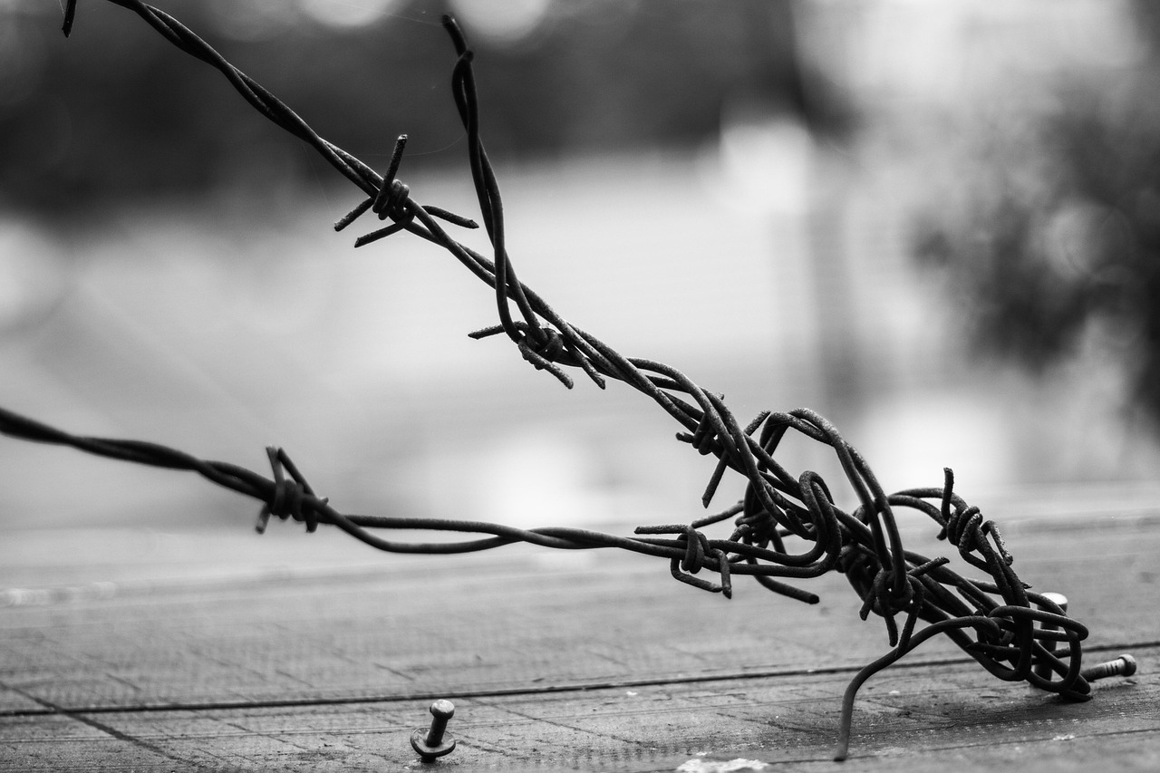 歐美先鋒電影,探索與突破的藝術(shù)邊界