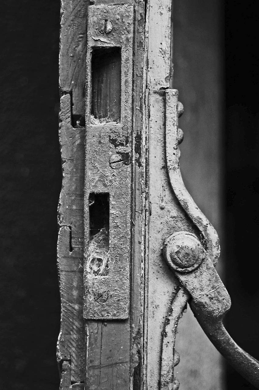 老聶新作,探索文學(xué)的未知之旅