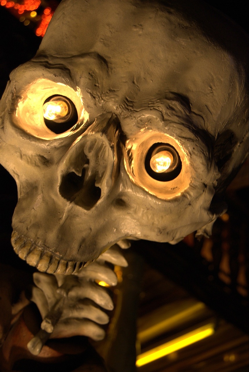 蟒蛇題材電影魅力世界探索，蟒蛇電影大全