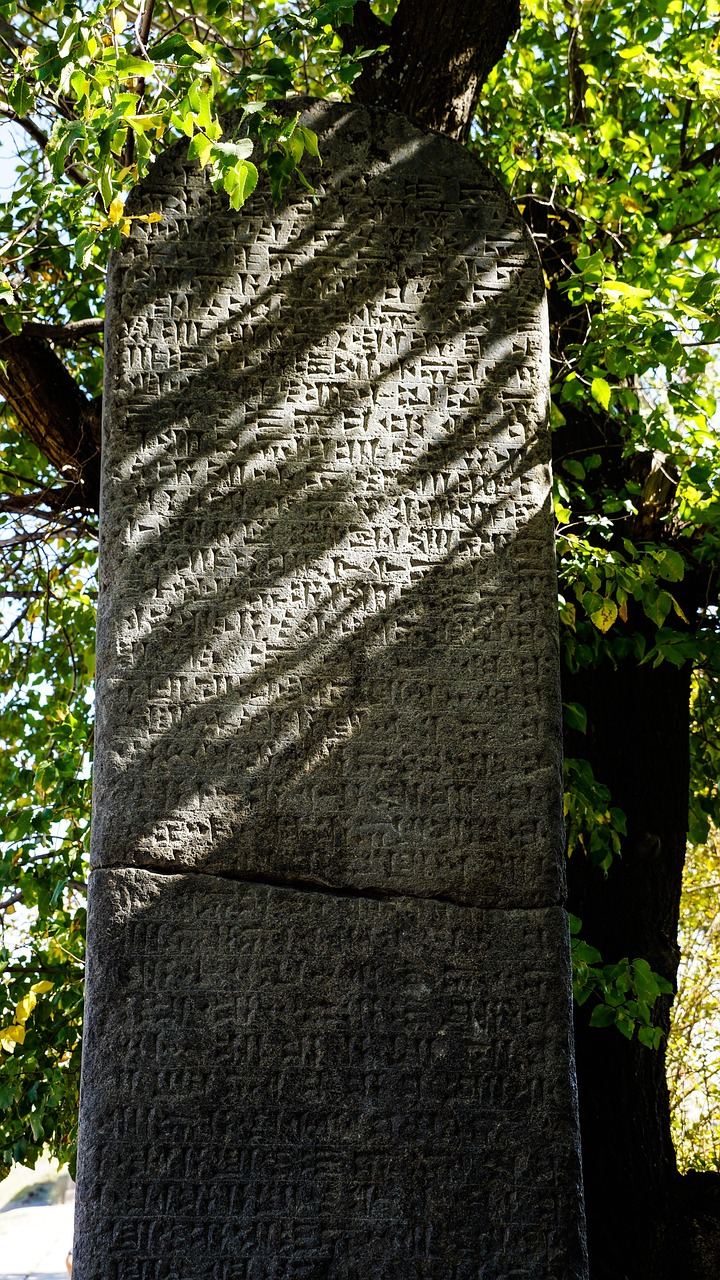 望洲財(cái)富最新動(dòng)態(tài)，邁向未來(lái)的堅(jiān)實(shí)步伐