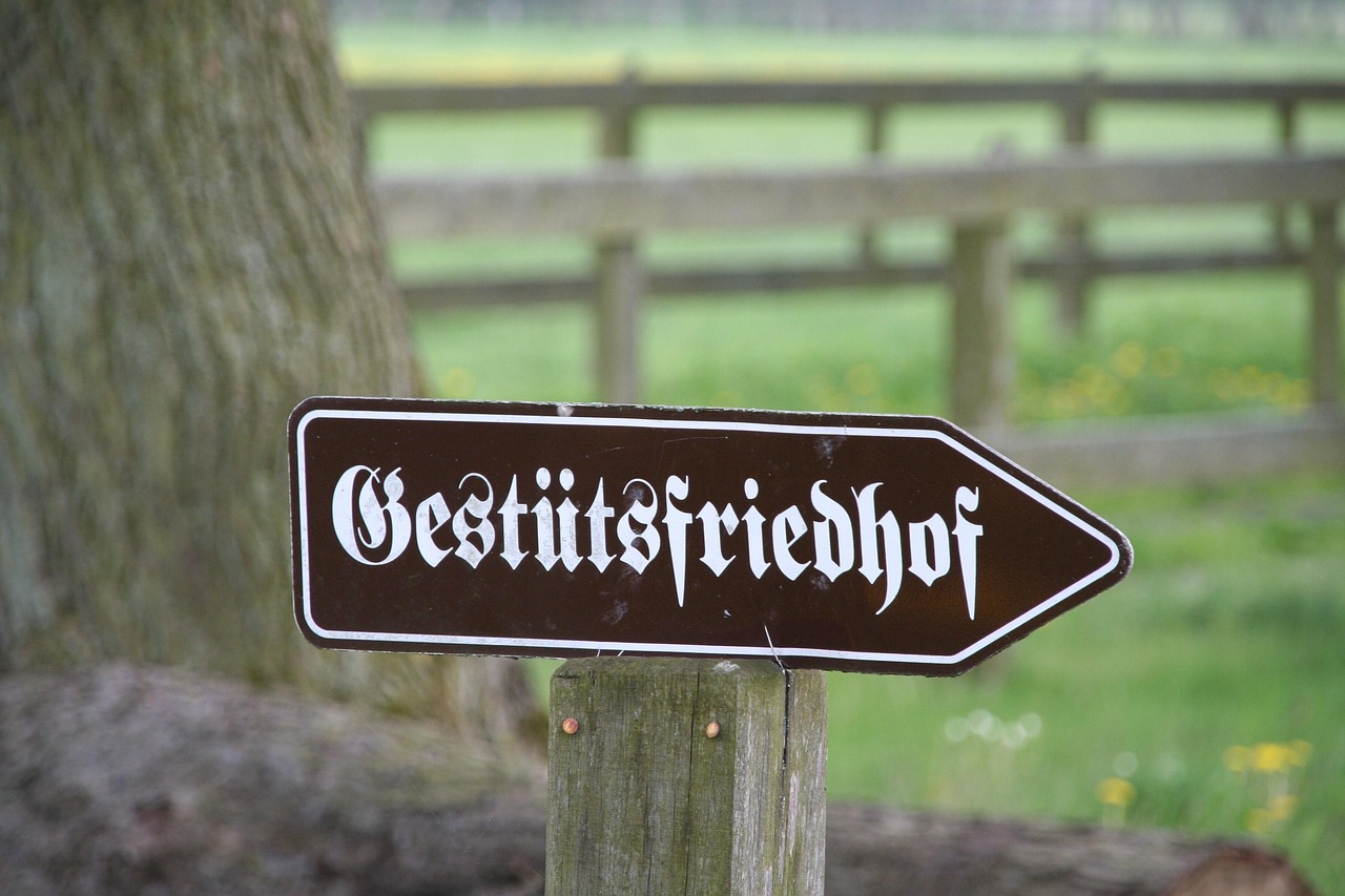 富力新城最新房價動態(tài)及市場趨勢深度解析與展望