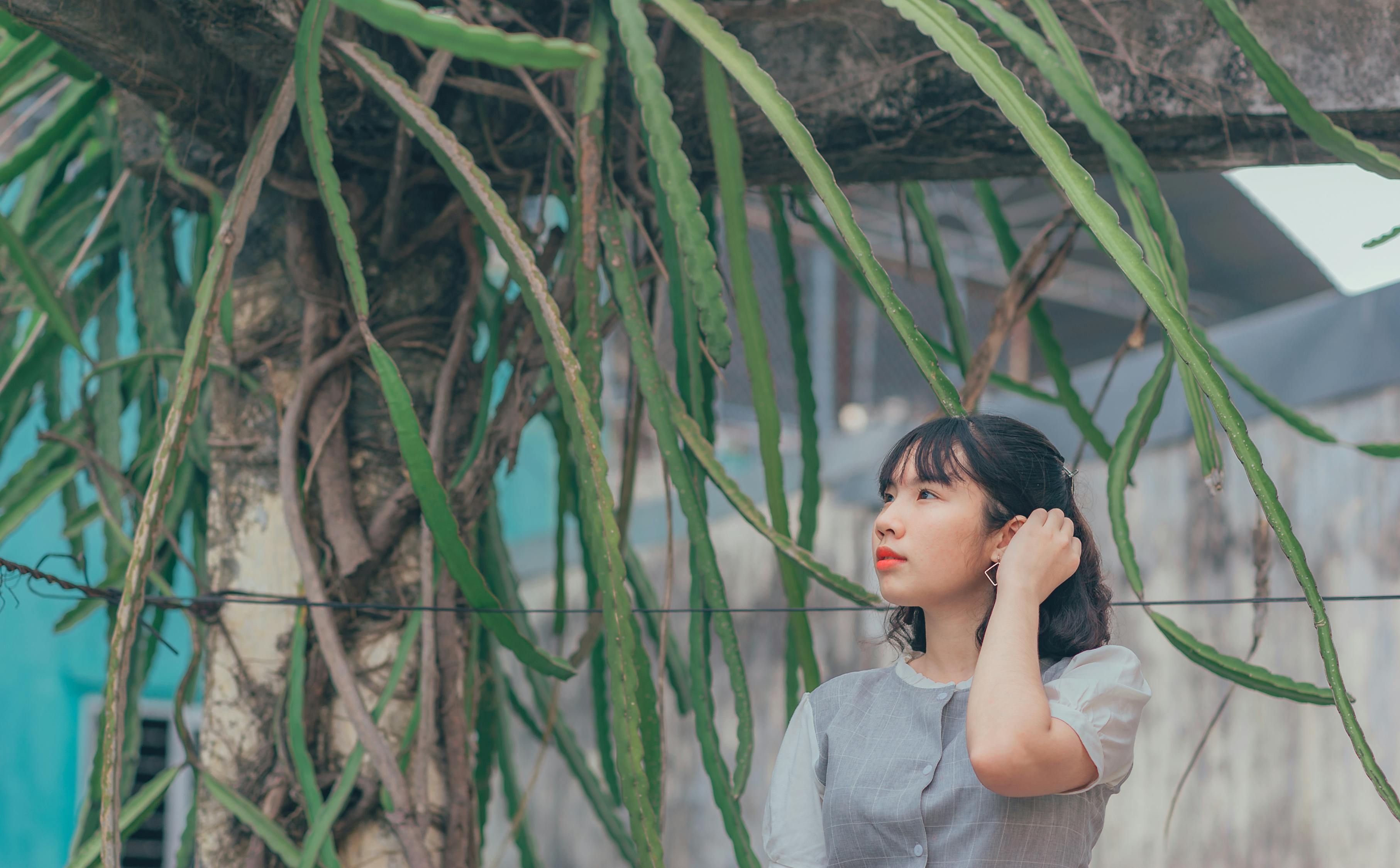 鄧超與孫儷，電視劇中的耀眼之星。