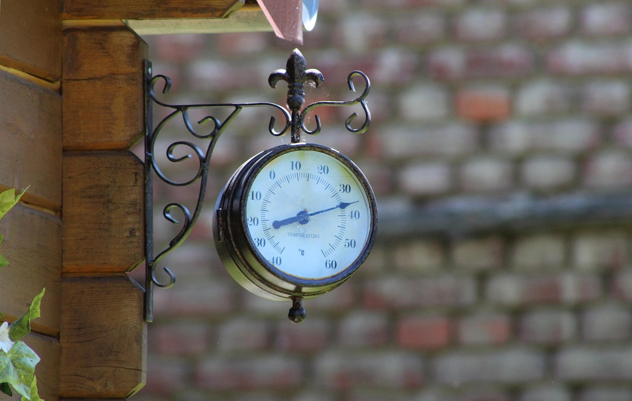 最新賽手資訊概覽,賽場動態(tài)、熱門話題熱議