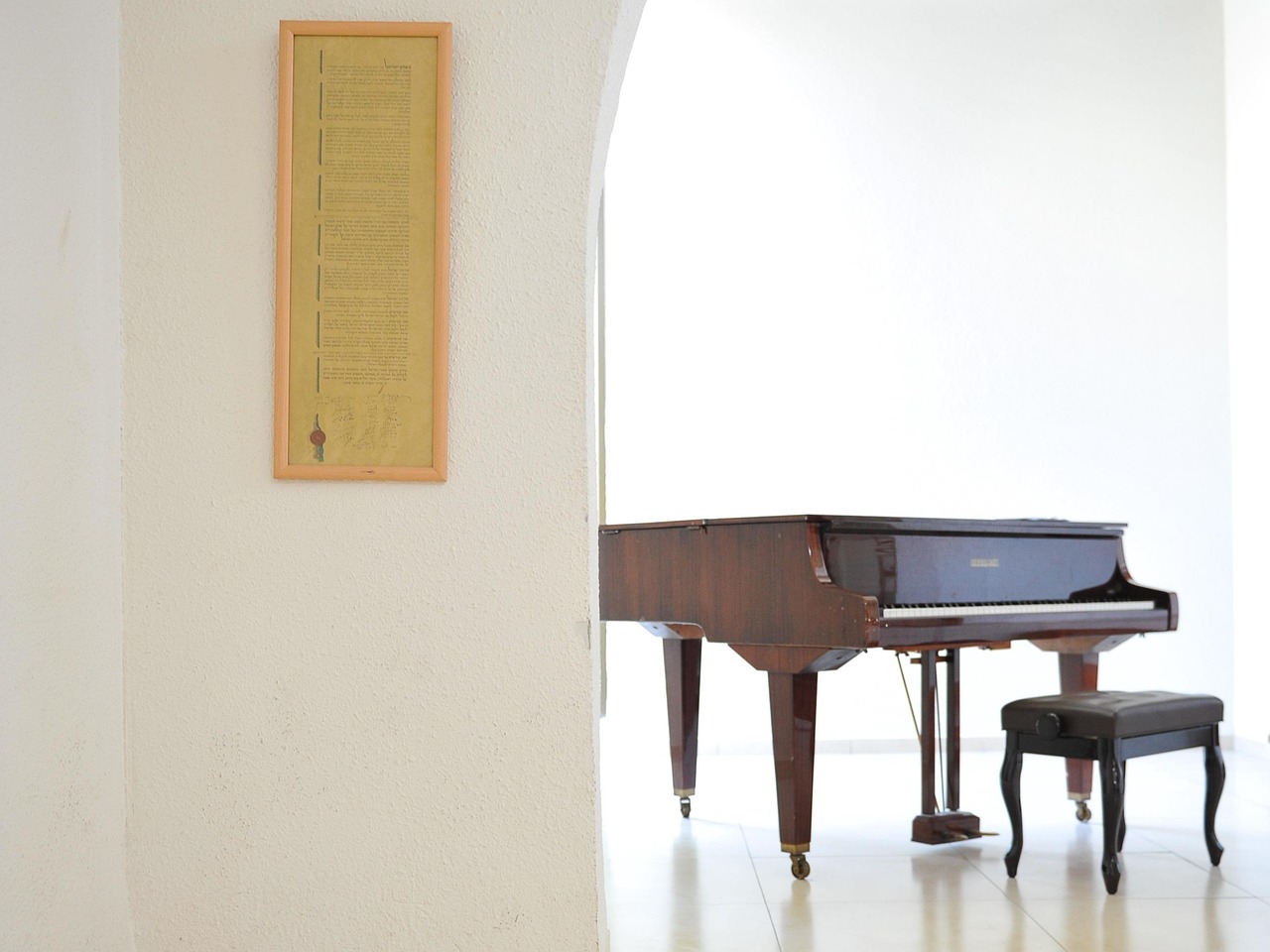 相撲運動現(xiàn)代變革與未來展望，最新動態(tài)探索古老運動的蓬勃發(fā)展之路