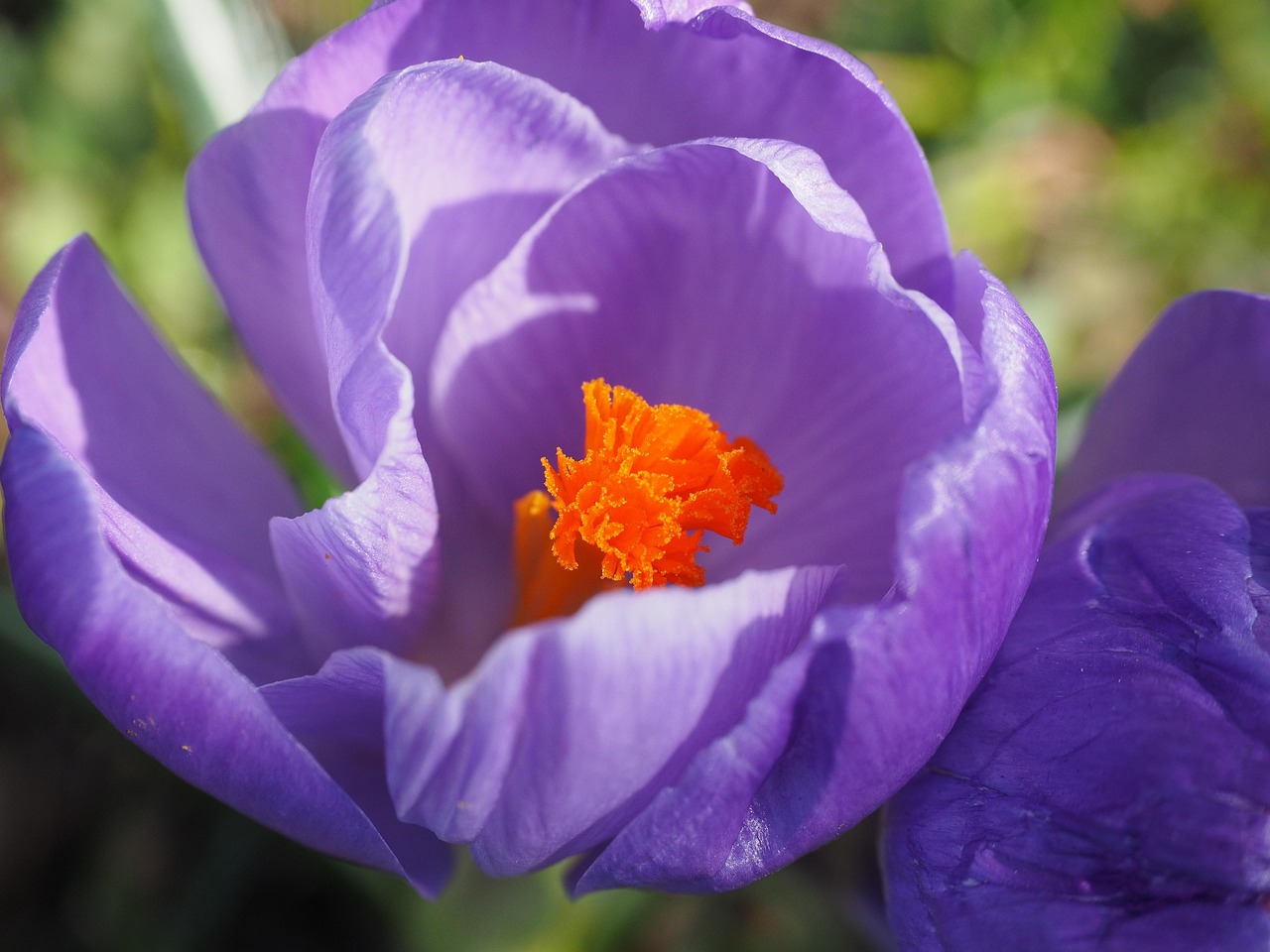 昆明最新發(fā)展動態(tài)及未來展望