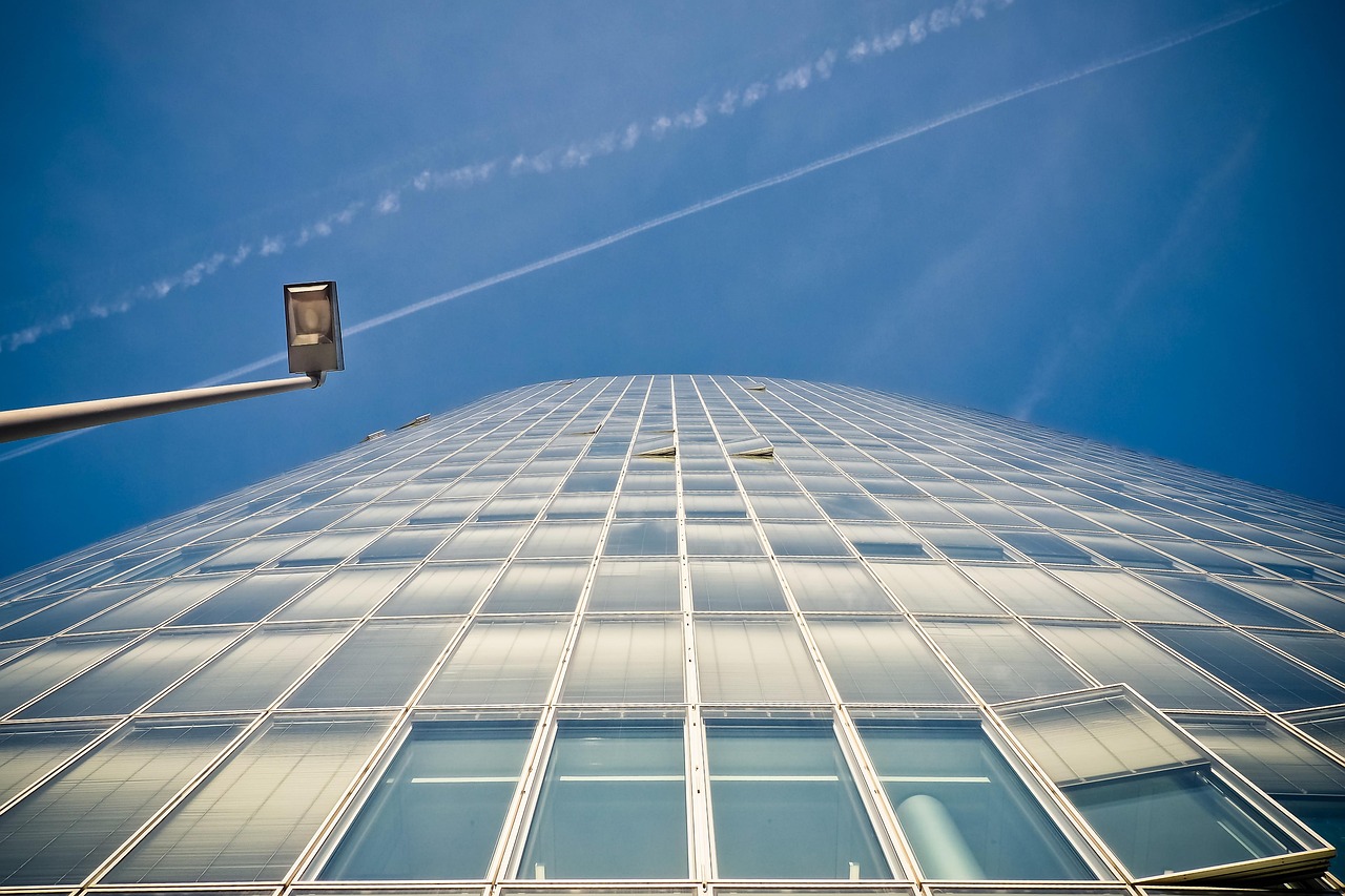 肉兔市場價(jià)格動(dòng)態(tài)及分析概覽