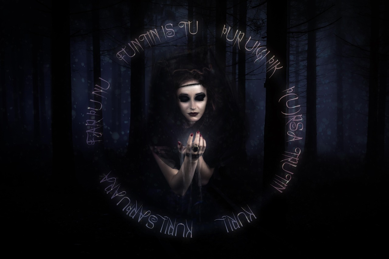 西宮夢(mèng)新篇，歷史回響與未來(lái)呼喚的交融之旅