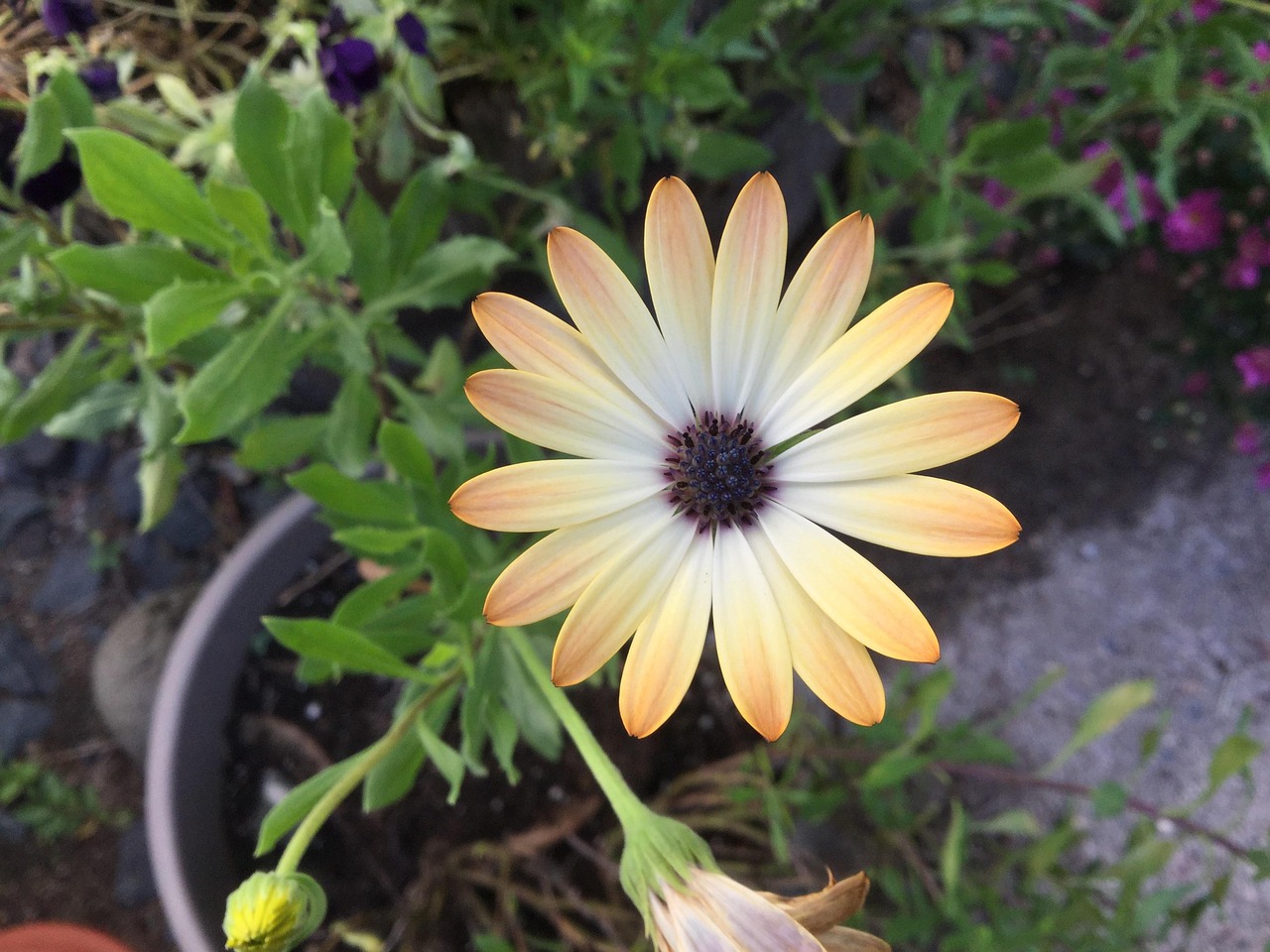 中國核建持續(xù)推動核能事業(yè)發(fā)展的最新動態(tài)與強(qiáng)勁動力