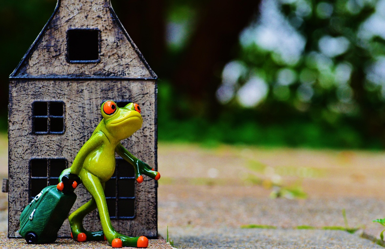 最新笑話(huà)精選下載，笑料不斷，歡樂(lè)無(wú)限！