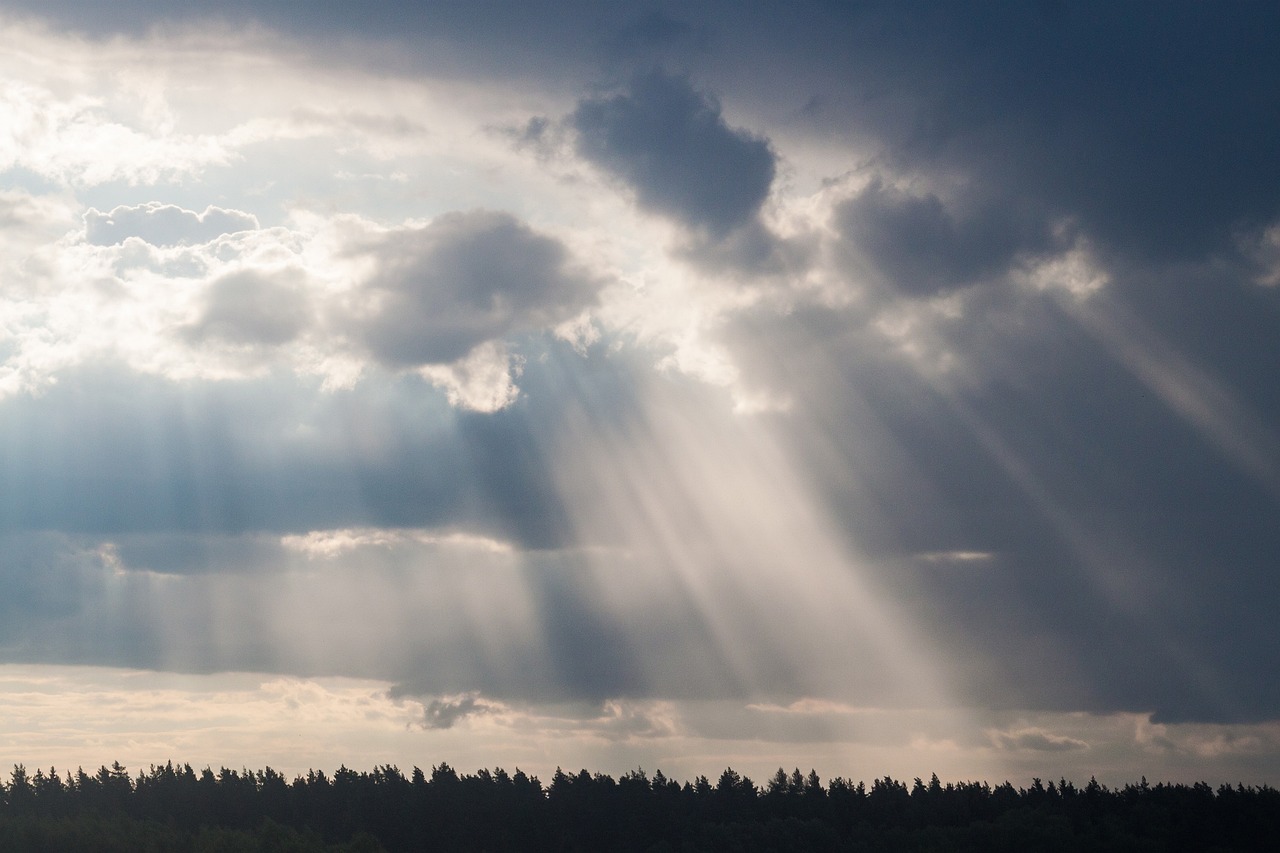 屬鼠明星的魅力閃耀，星光熠熠的明星群像
