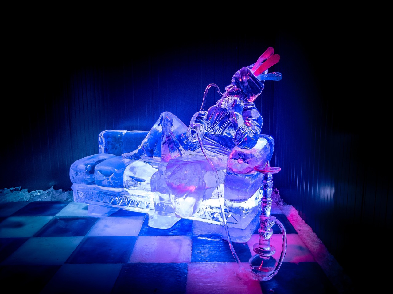 麥嘉最新動(dòng)態(tài)，邁向新時(shí)代的步伐與獨(dú)特風(fēng)采展示