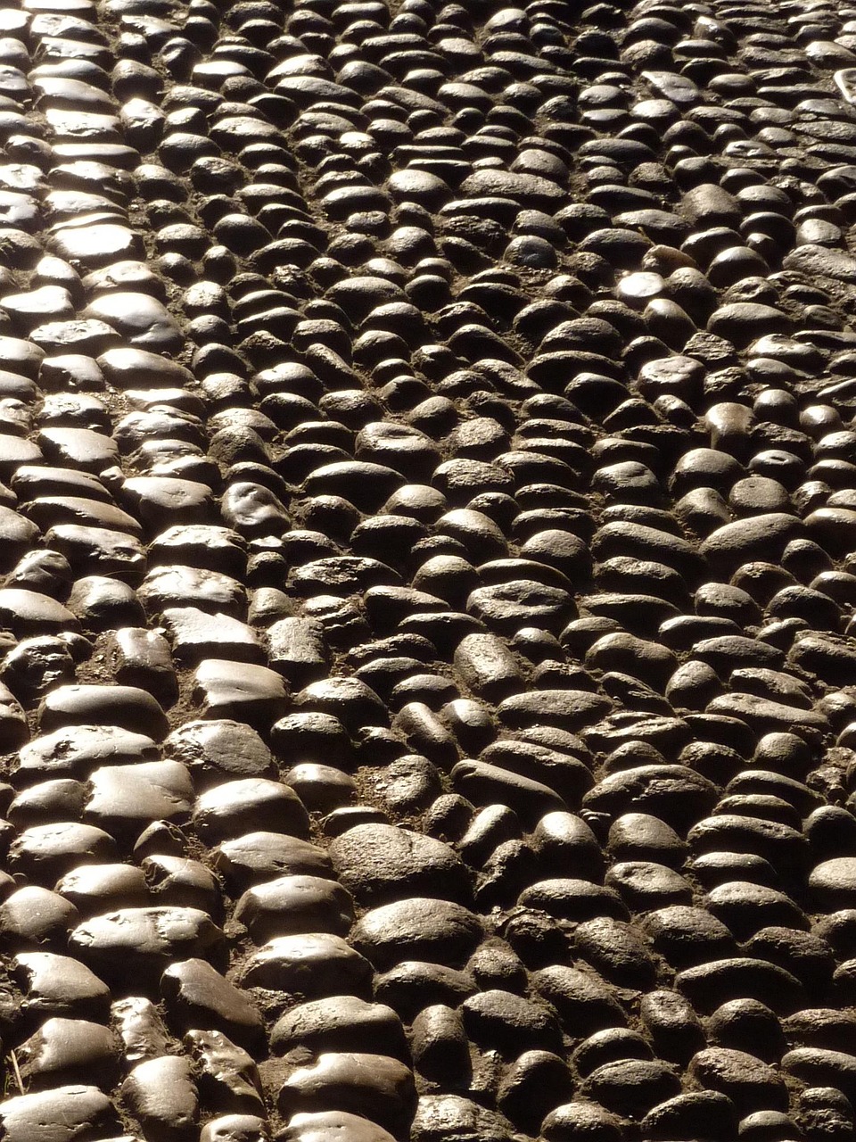 軍人工資最新動態(tài),改革動向及福利待遇提升揭秘