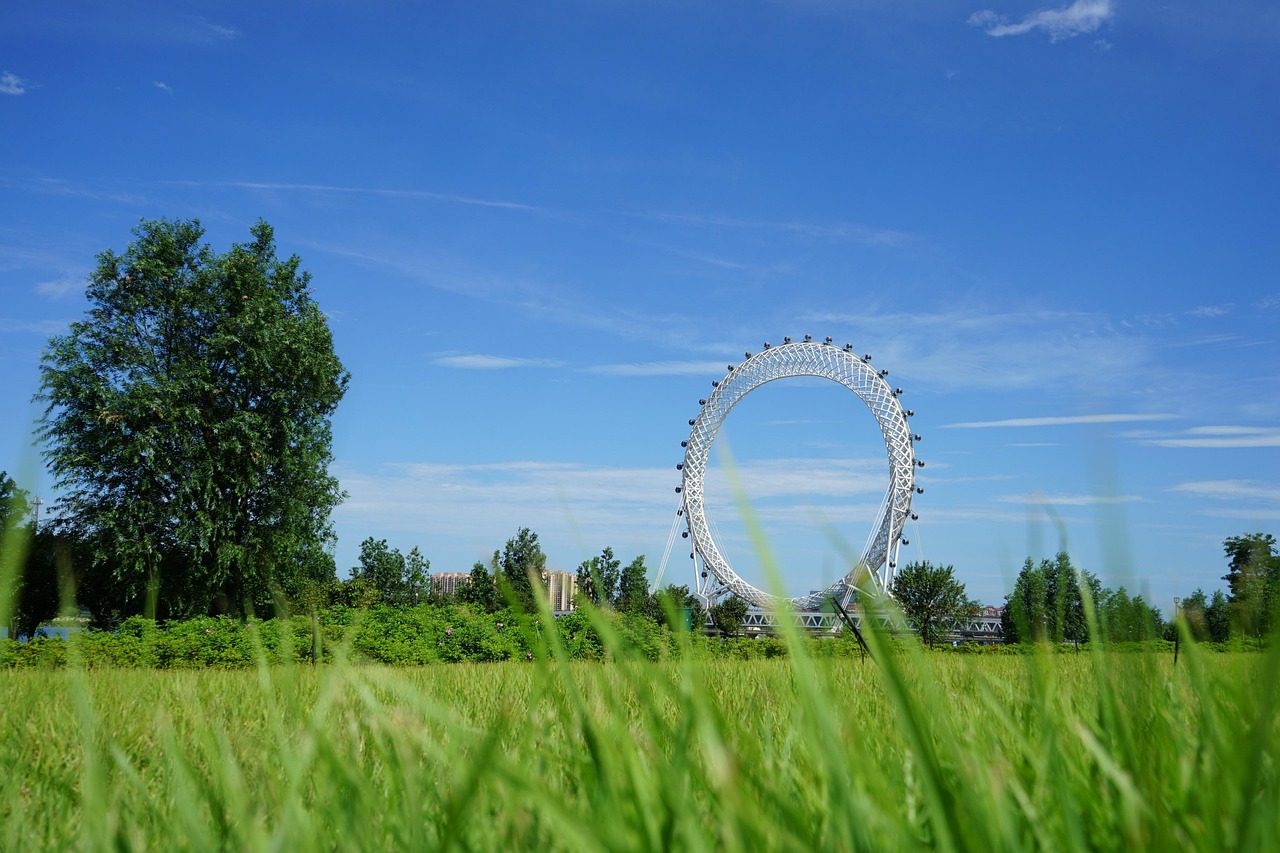 山東最新動(dòng)態(tài),繁榮與發(fā)展的齊魯大地