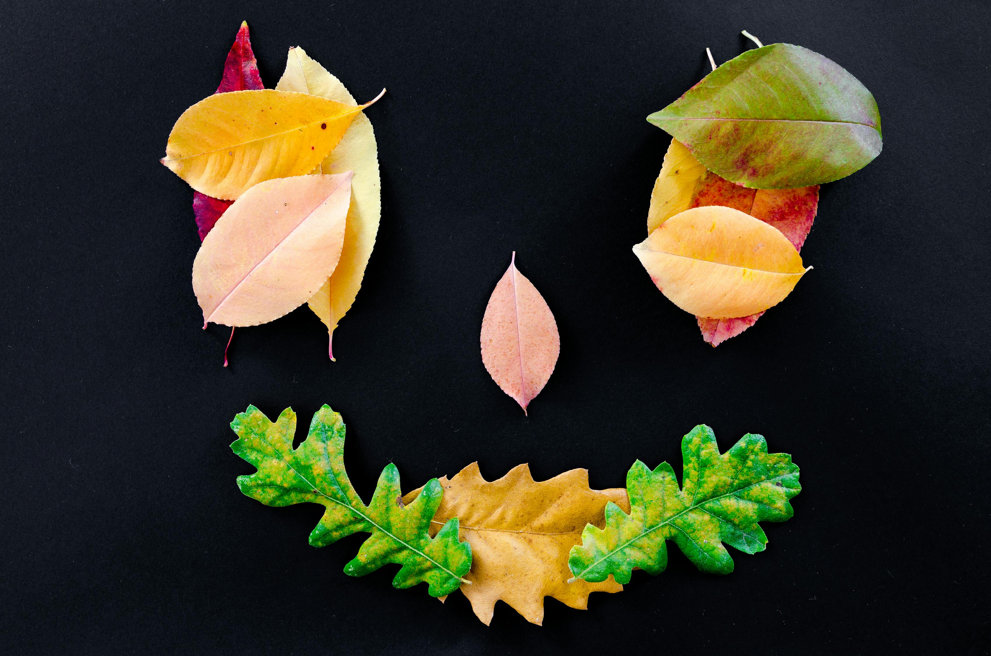 其實(shí) 第18頁(yè)