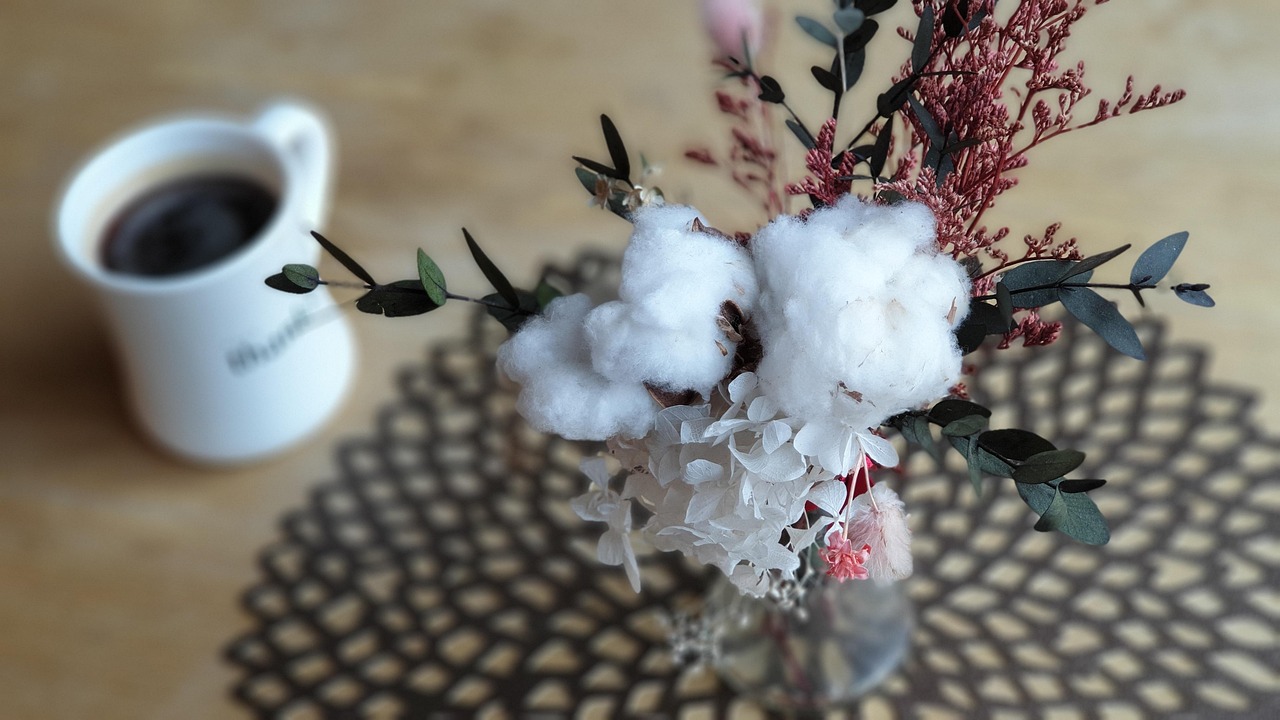 張金梅最新動態(tài)，探索無限，綻放個人光彩