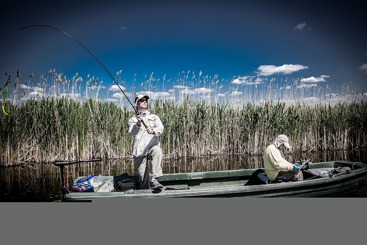 湖庫釣魚大賽，激情與技術的對決