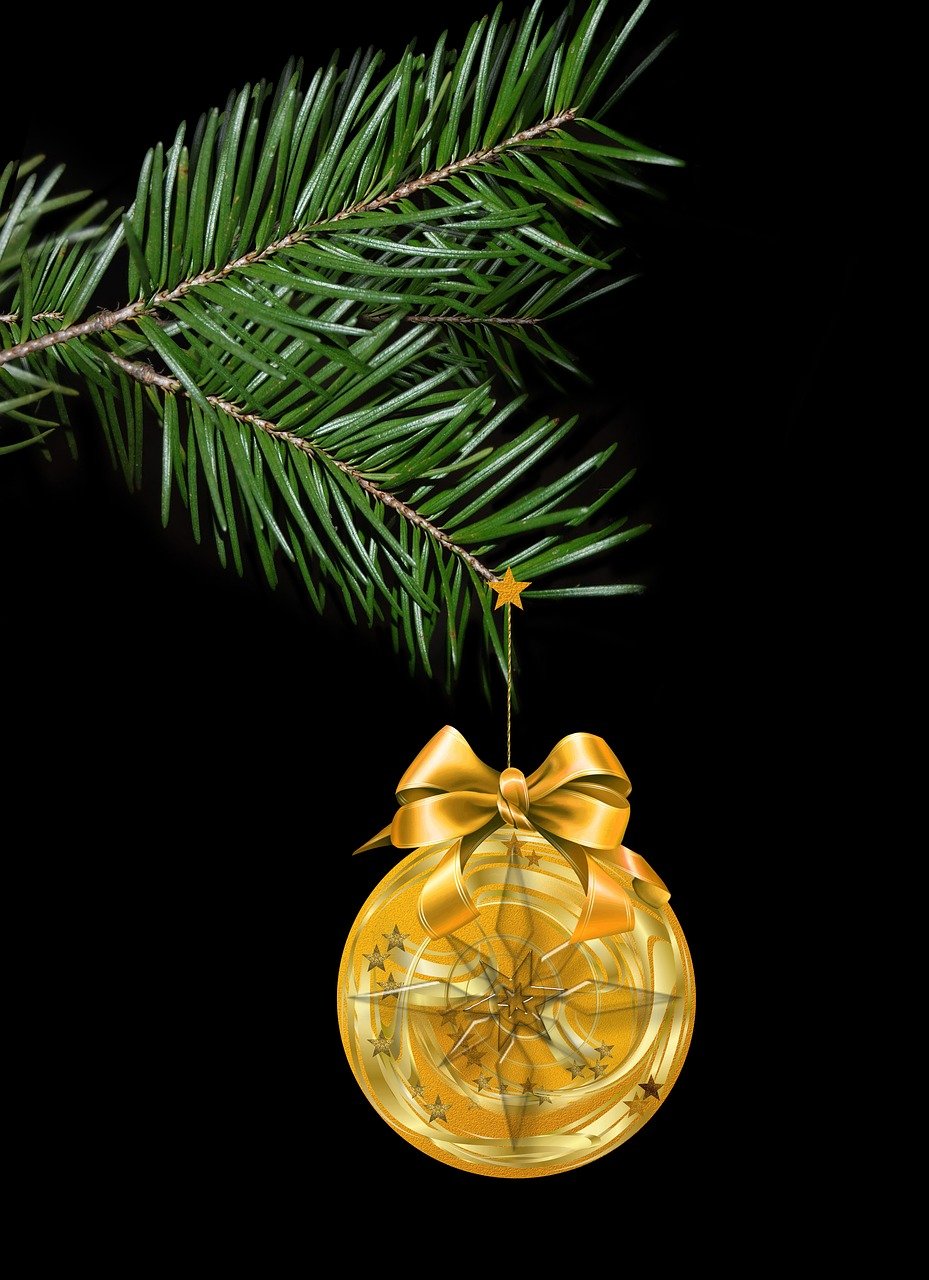 曲寨吧最新動(dòng)態(tài)揭秘，社區(qū)新面貌一覽無余