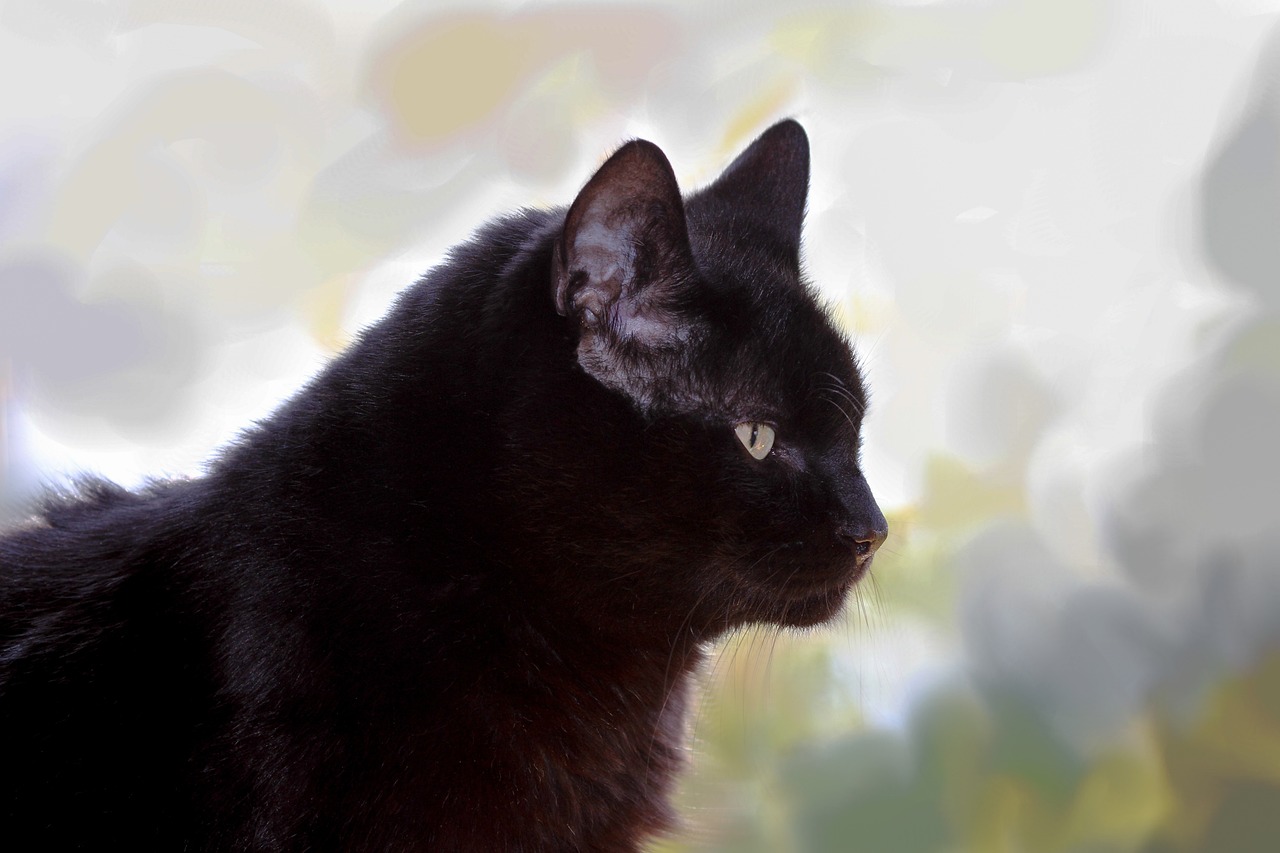 轉(zhuǎn)角記憶 第19頁(yè)