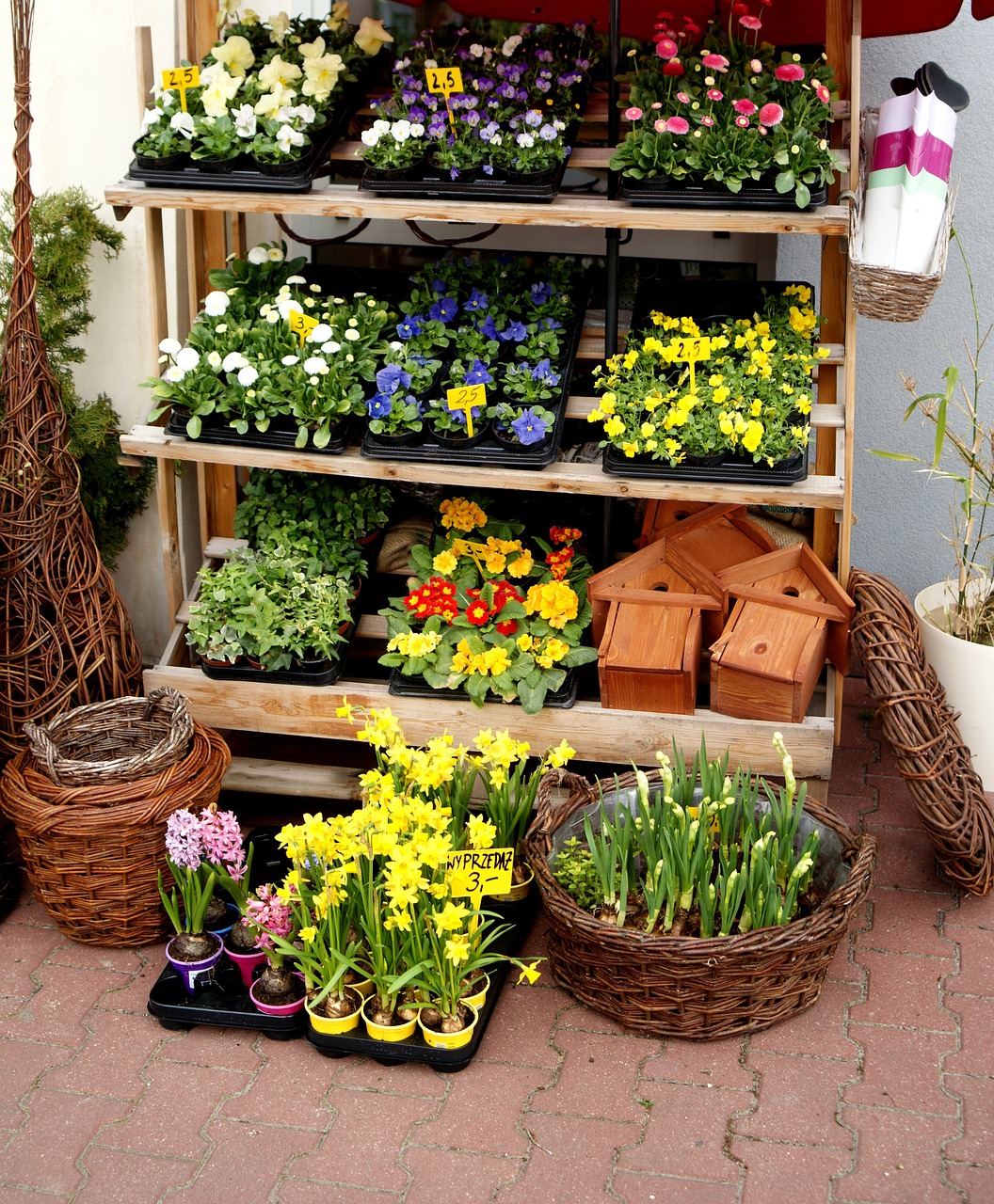 花圈價(jià)格,市場(chǎng)因素與消費(fèi)者考量分析