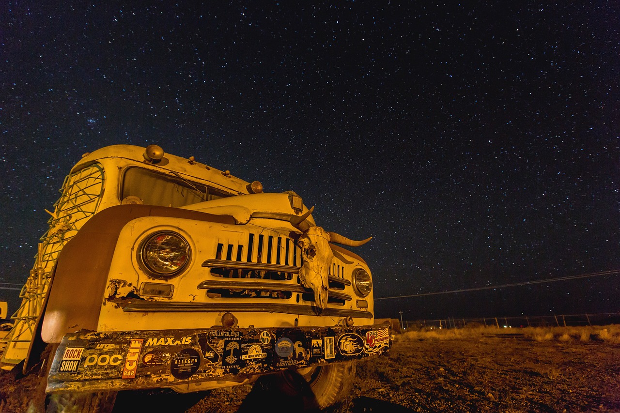 演員張園的演藝之路探索之旅
