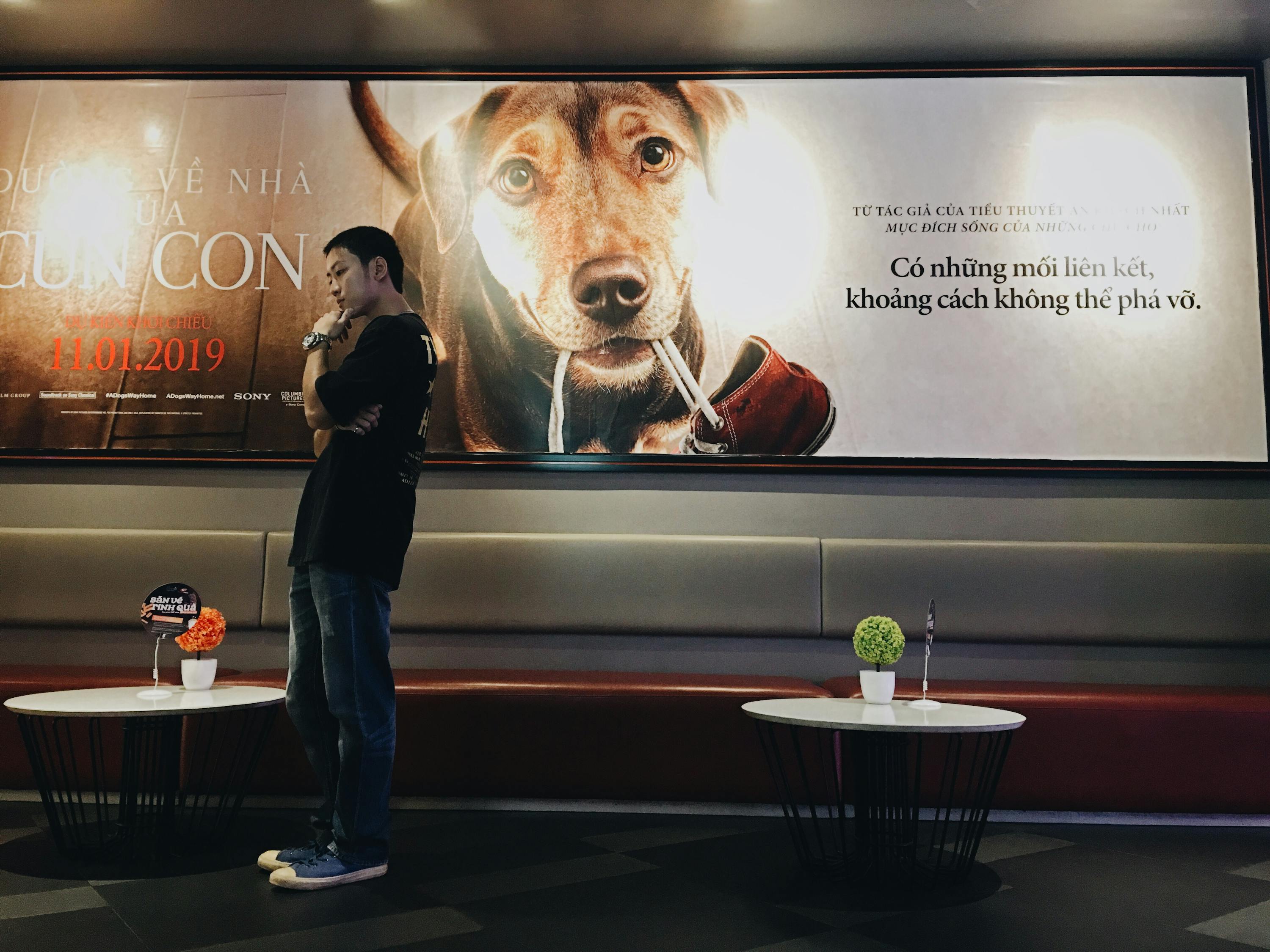 泰國槍擊事件最新進展全面解析與最新動態(tài)報告