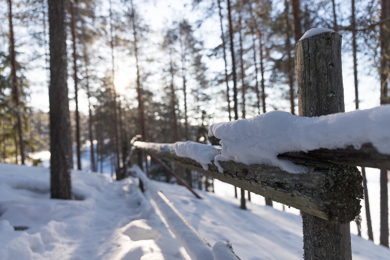 2025年7月 第510頁