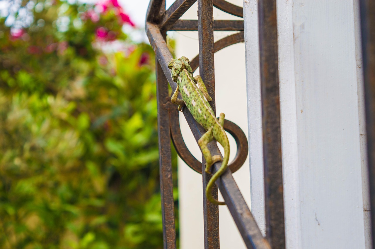 鈴木心春最新動態(tài),引領潮流,探索未來之路