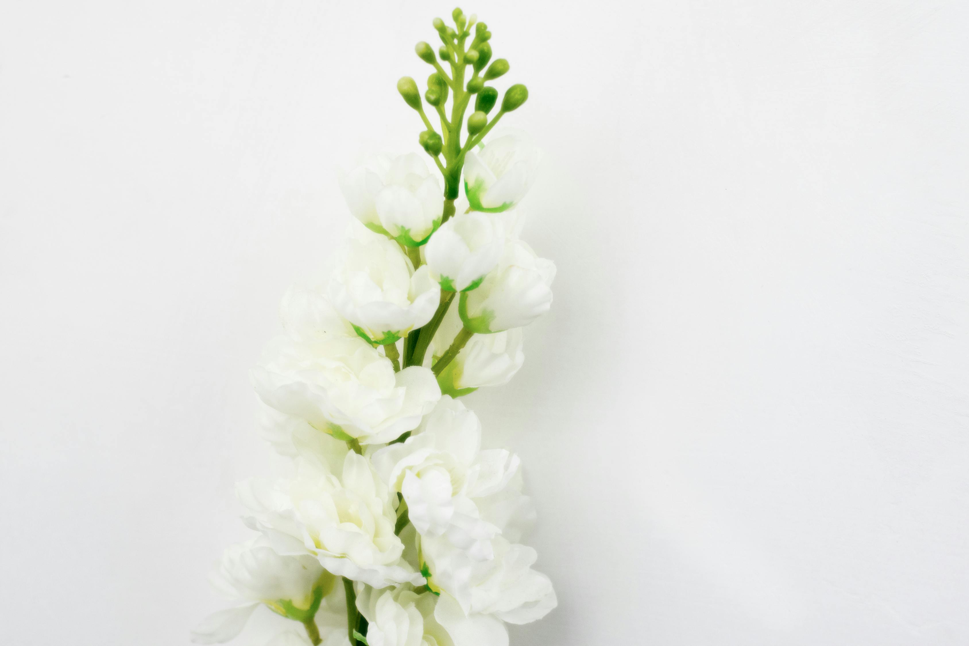 家族最新股價動態(tài)，市場走勢下的機遇與挑戰(zhàn)分析