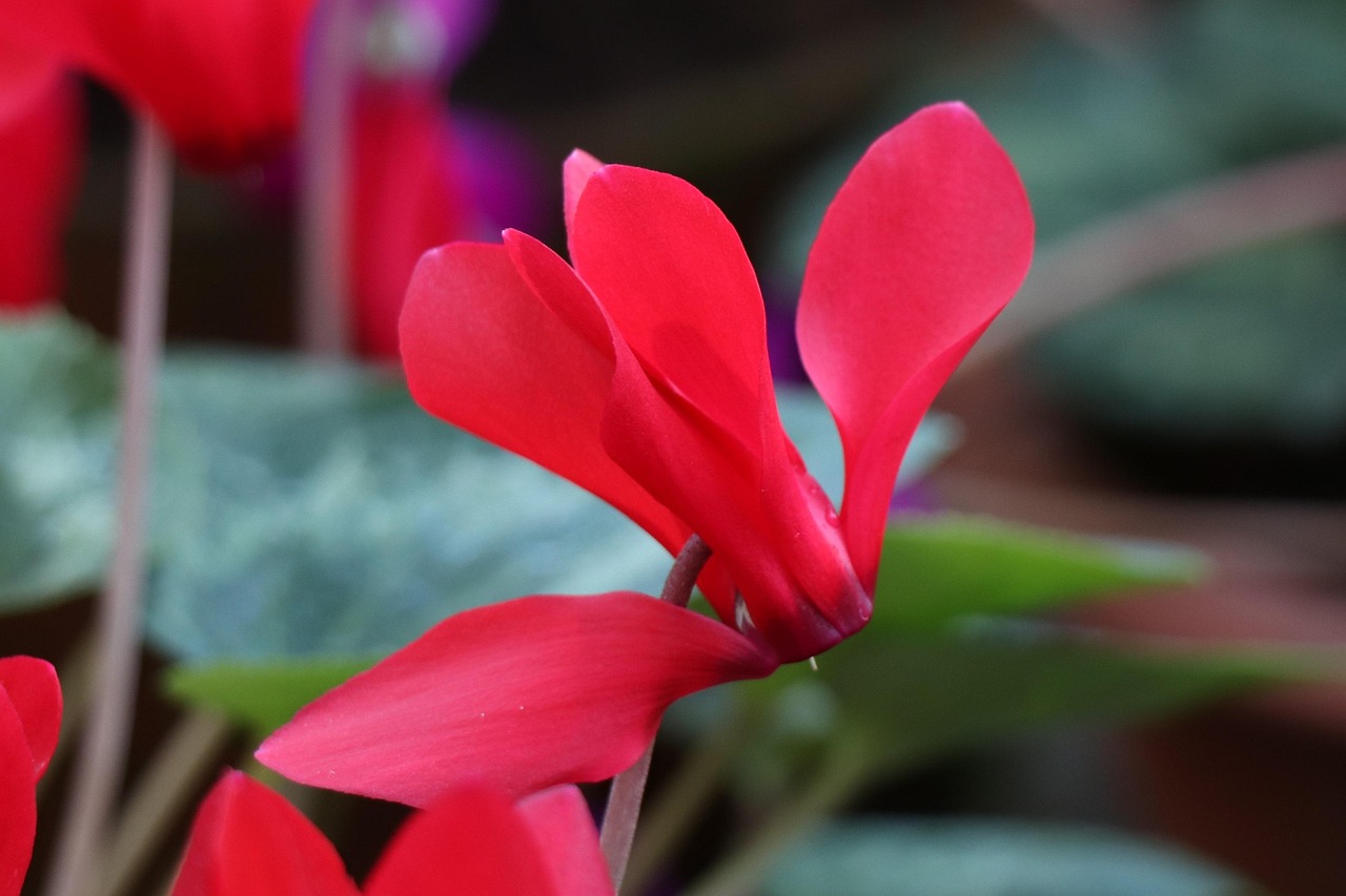 引領(lǐng)金融領(lǐng)域前沿洞察,中心金融資訊動(dòng)態(tài)速遞