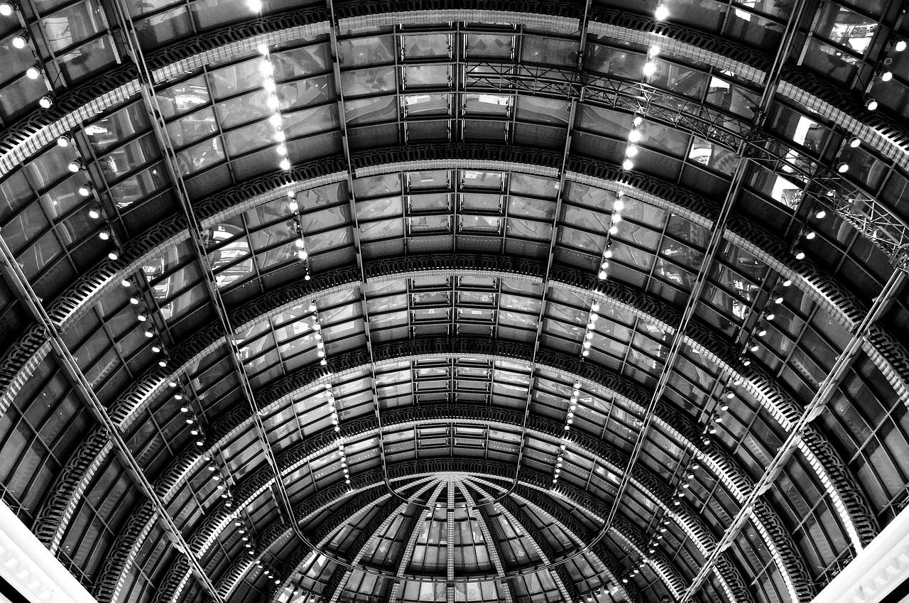 海口最新發(fā)展動態(tài)，城市蓬勃發(fā)展與未來展望