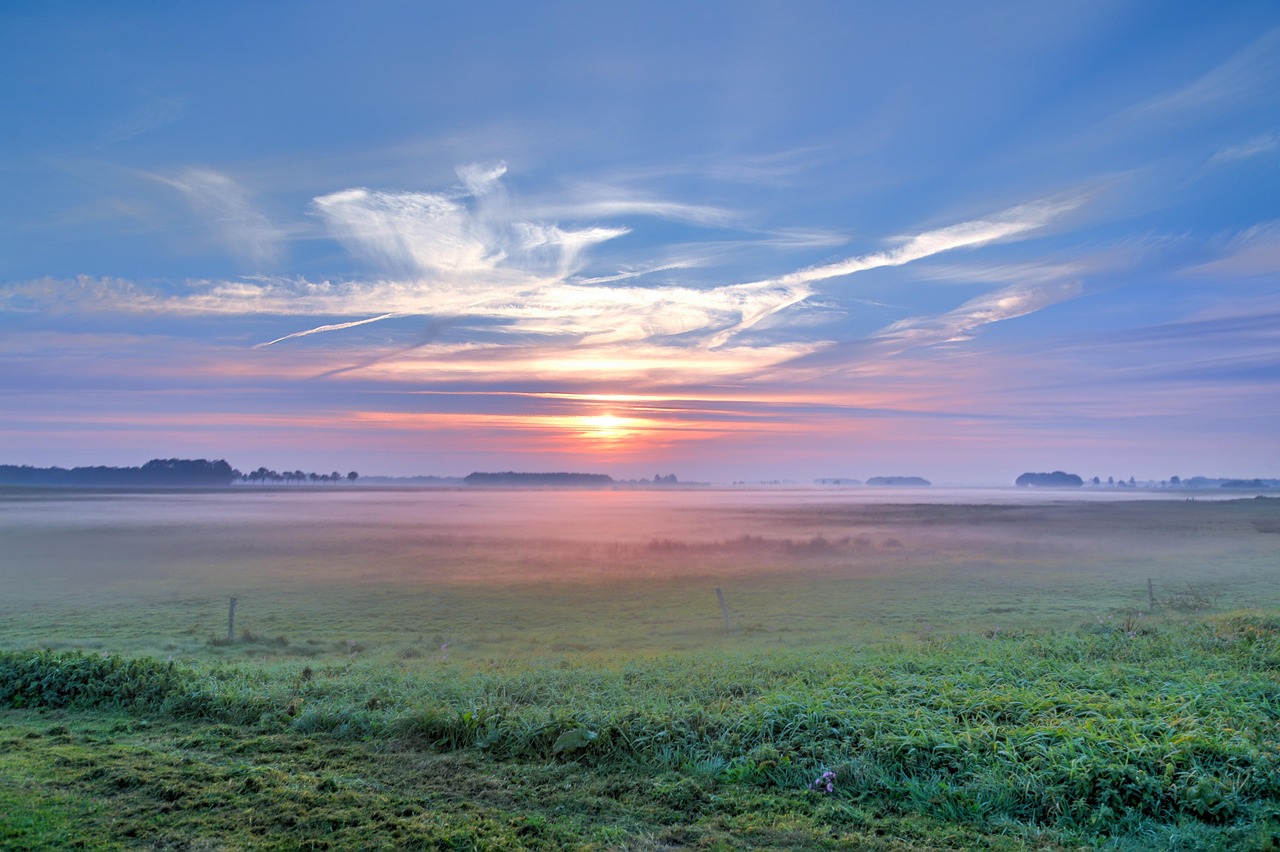 云南馬吉林最新動(dòng)態(tài)，最新資訊報(bào)道