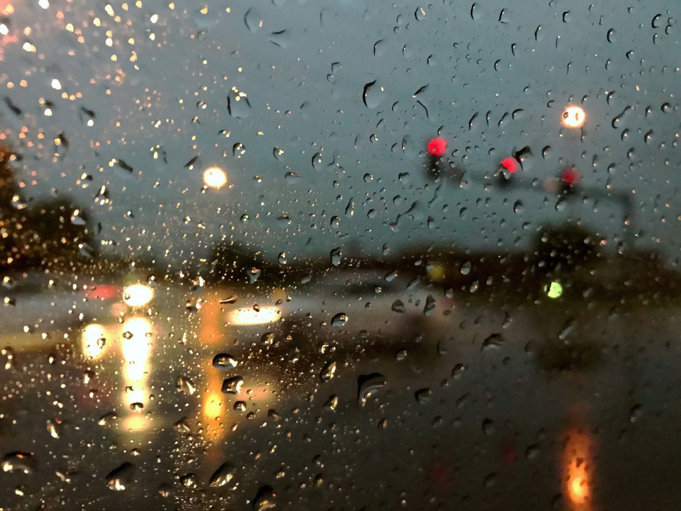 探索二次元魅力的無限可能，萌頭像動漫的魅力之旅