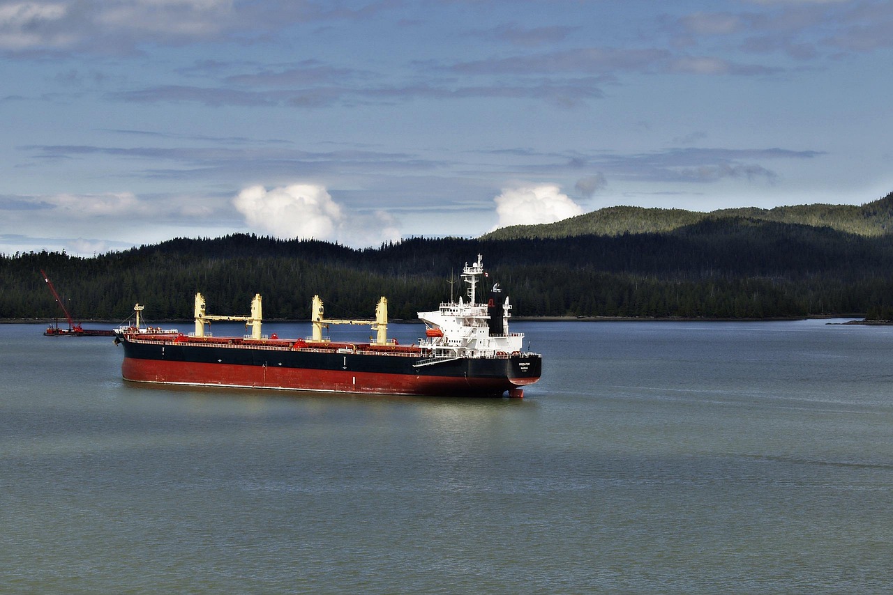 分宜洋江龍舟比賽的盛況與傳承之旅