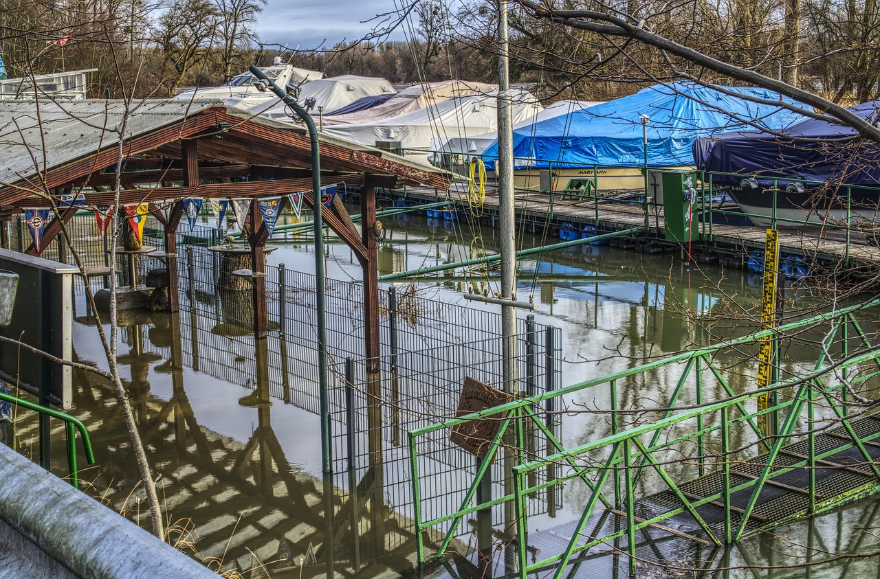 百里杜鵑最新資訊報道更新,最新動態(tài)一網(wǎng)打盡