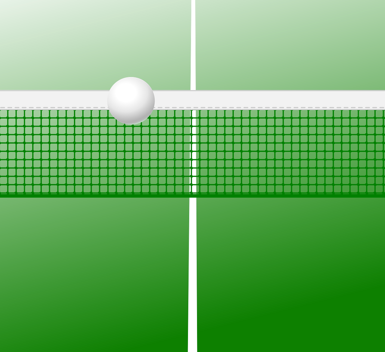 乒乓球比賽記錄表，精彩瞬間一覽，乒乓文化傳承不息