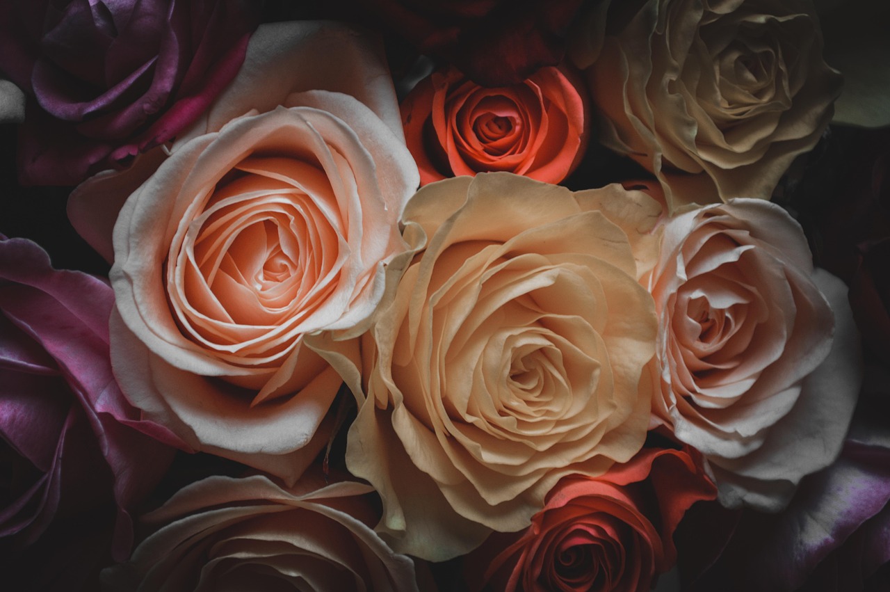 烈酒與故事 第16頁